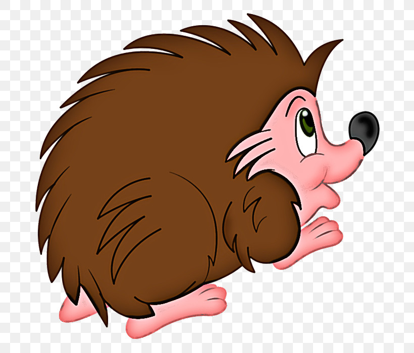 Cartoon Hedgehog Nose Snout Erinaceidae, PNG, 700x700px, Cartoon, Erinaceidae, Forehead, Hedgehog, Nose Download Free