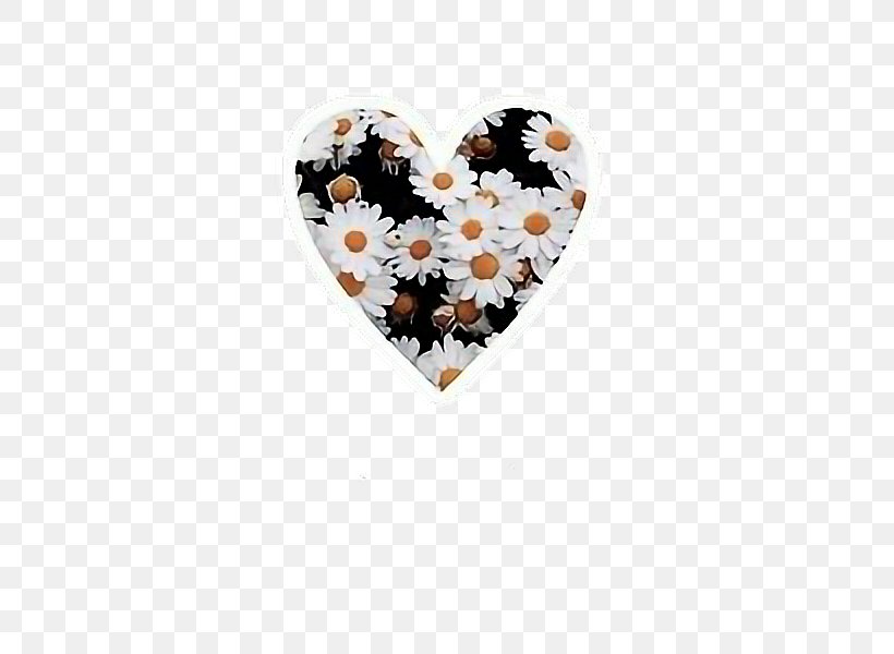 Desktop Wallpaper Flower We Heart It Wallpaper, PNG, 600x600px, Flower, Common Daisy, Common Sunflower, Daisybush, Heart Download Free