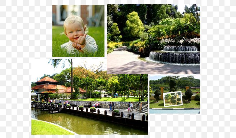 Water Resources Garden Landscape Tree Leisure, PNG, 640x480px, Water Resources, Bayou, Child, Flora, Garden Download Free