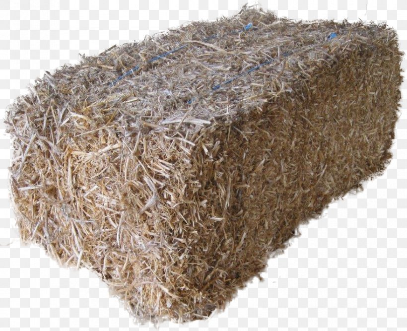 Angus Cattle Haystack Breed Straw, PNG, 879x716px, Angus Cattle, Beef, Breed, Hay, Haystack Download Free