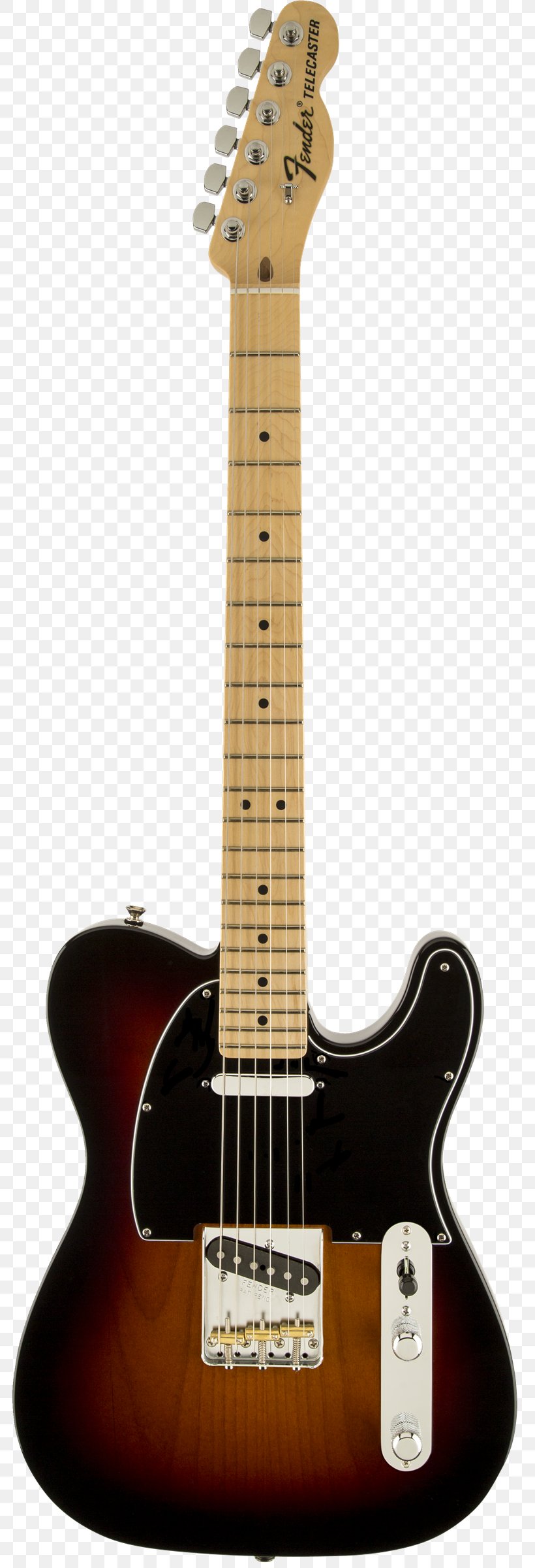 Fender Telecaster Deluxe Fender Stratocaster Fender Telecaster Custom Fender Telecaster Thinline, PNG, 783x2400px, Fender Telecaster, Acoustic Electric Guitar, Acoustic Guitar, Bass Guitar, Electric Guitar Download Free
