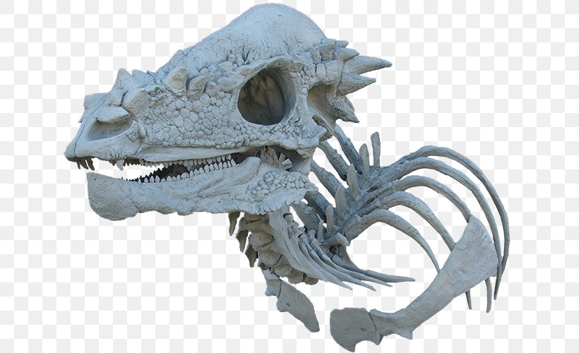 Pachycephalosaurus Triceratops Tyrannosaurus Dinosaur Pachycephalosauria, PNG, 800x500px, Pachycephalosaurus, Ark Survival Evolved, Brain, Ceratosaurus, Dinosaur Download Free