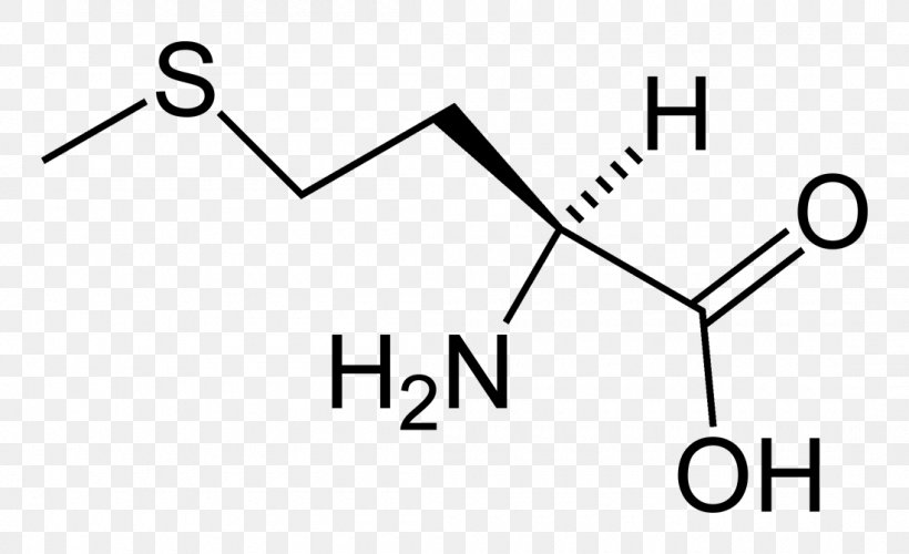 Aspartic Acid Proteinogenic Amino Acid Asparagine, PNG, 1100x672px, Aspartic Acid, Acid, Amide, Amine, Amino Acid Download Free