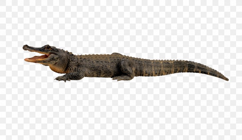 Crocodile Alligator Gharial Clip Art, PNG, 1171x681px, Crocodile, Alligator, Animal Figure, Crocodiles, Crocodilia Download Free