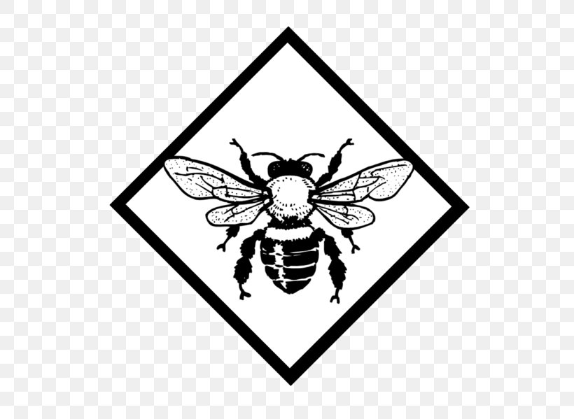 European Dark Bee Honey Bee Drawing Clip Art, PNG, 662x599px, Bee, Art, Beehive, Black, Black And White Download Free