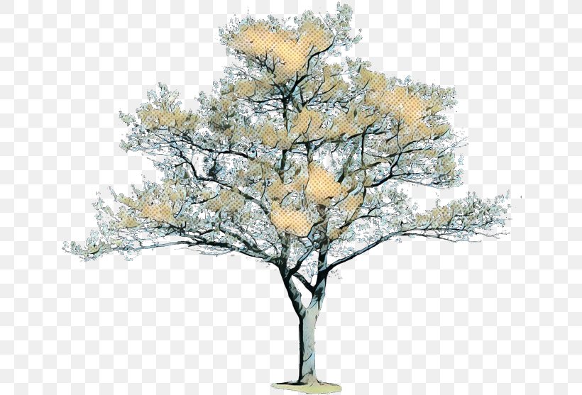 Oak Tree Leaf, PNG, 650x557px, Pop Art, Branch, Branching, Flower, Leaf Download Free