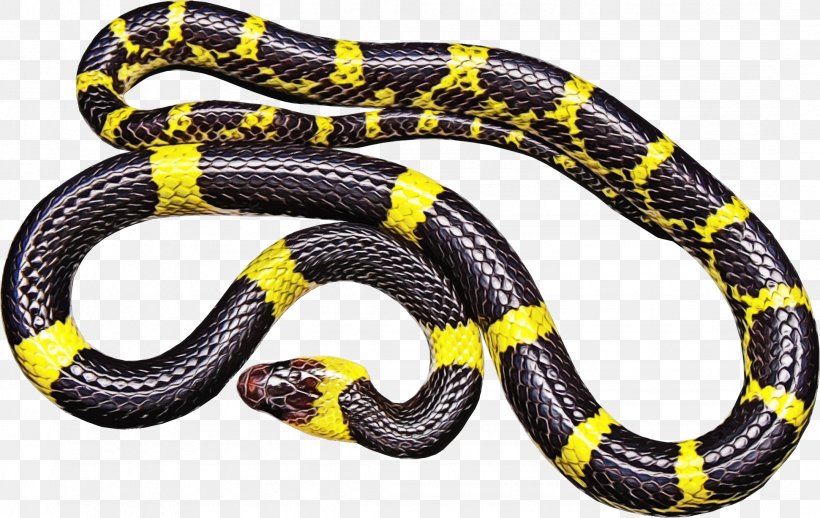 Snake Cartoon, PNG, 2159x1364px, Snakes, Banded Krait, Black Rat Snake, Colubrid Snakes, Colubridae Download Free