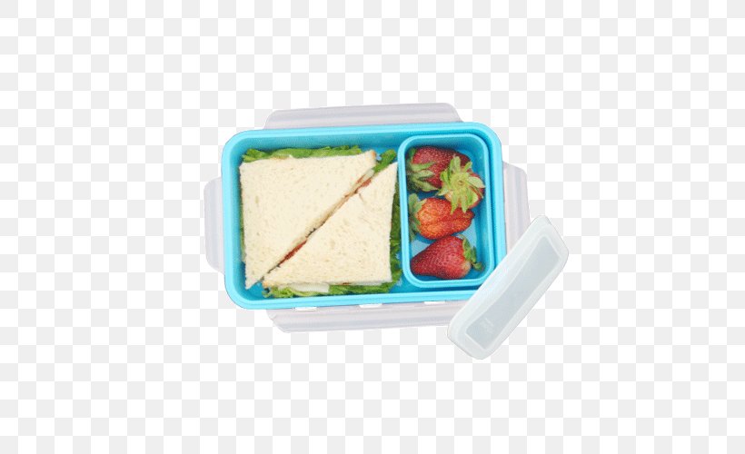 Plastic Lunch Rectangle, PNG, 500x500px, Plastic, Lunch, Meal, Rectangle Download Free