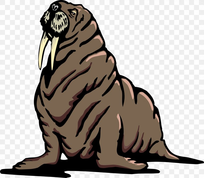 Walrus Free Content Clip Art, PNG, 1979x1728px, Walrus, Bear, Big Cats, Carnivoran, Cat Download Free