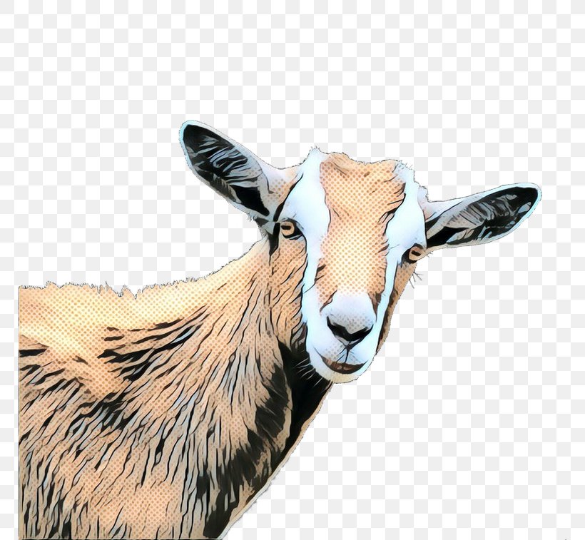 Goat Cattle Fauna Snout, PNG, 768x757px, Goat, Cattle, Chamois, Cowgoat Family, Fauna Download Free