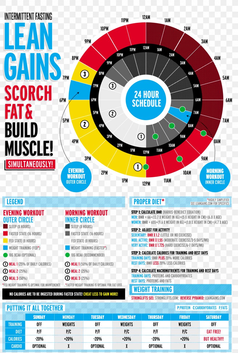 Intermittent Fasting Dieting Health, PNG, 1500x2220px, Intermittent Fasting, Area, Autophagy, Blood Sugar, Brand Download Free
