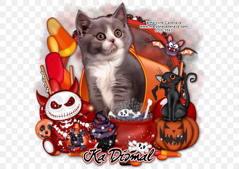 Kitten Whiskers Snout Paw, PNG, 600x580px, Kitten, Carnivoran, Cat, Cat Like Mammal, Paw Download Free