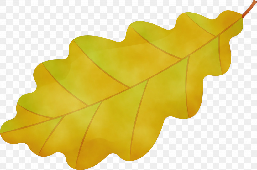 Leaf Yellow M-tree Tree Biology, PNG, 3242x2147px, Watercolor, Biology, Leaf, Mtree, Paint Download Free