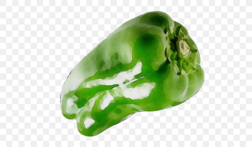 Bell Pepper Green Vegetable Pimiento Green Bell Pepper, PNG, 640x480px, Watercolor, Bell Pepper, Bell Peppers And Chili Peppers, Capsicum, Fashion Accessory Download Free