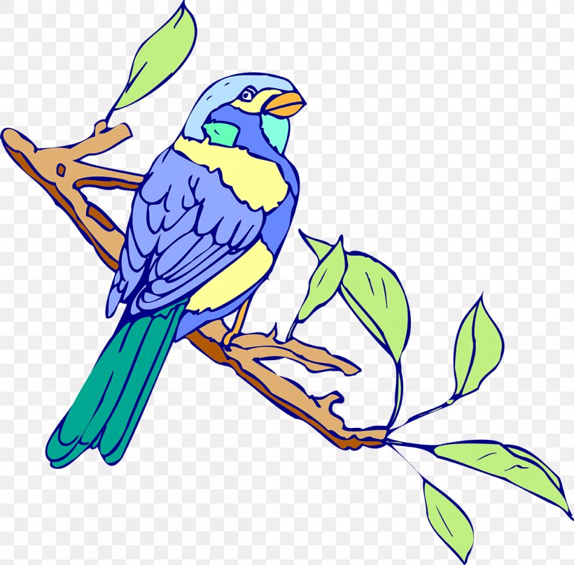 Bird Australasian Swamphen Macaw Clip Art, PNG, 1200x1183px, Bird, Art, Artwork, Australasian Swamphen, Beak Download Free