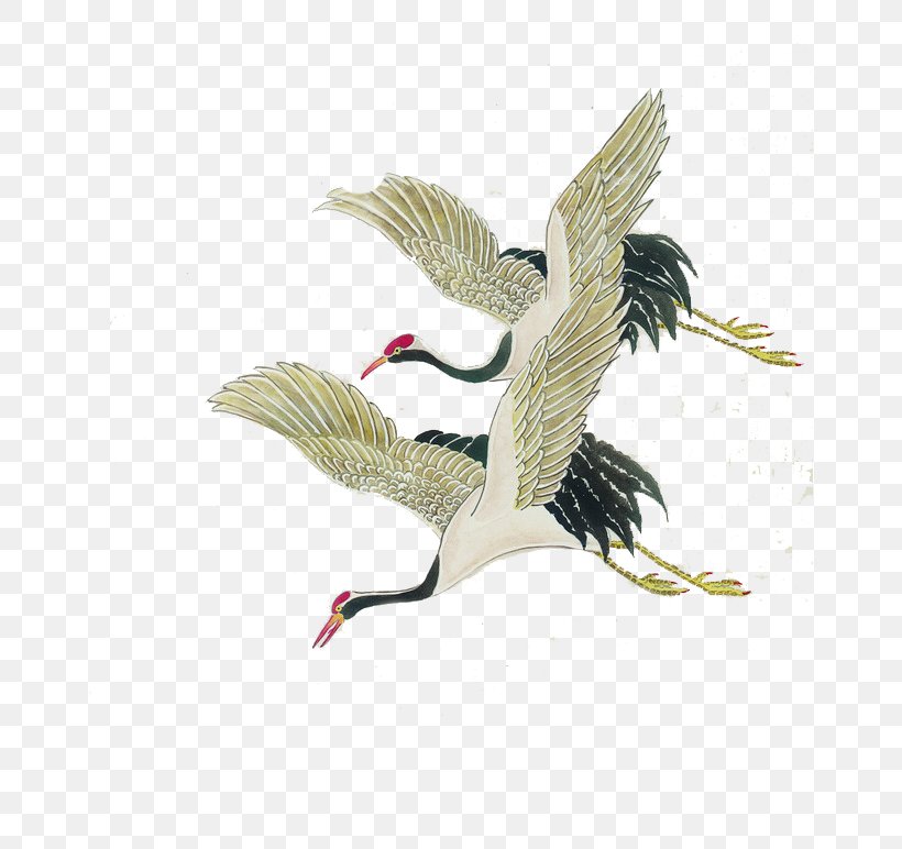 Bird Red-crowned Crane Painting Illustration, PNG, 658x772px, Bird, Animal, Beak, Ciconiiformes, Crane Download Free