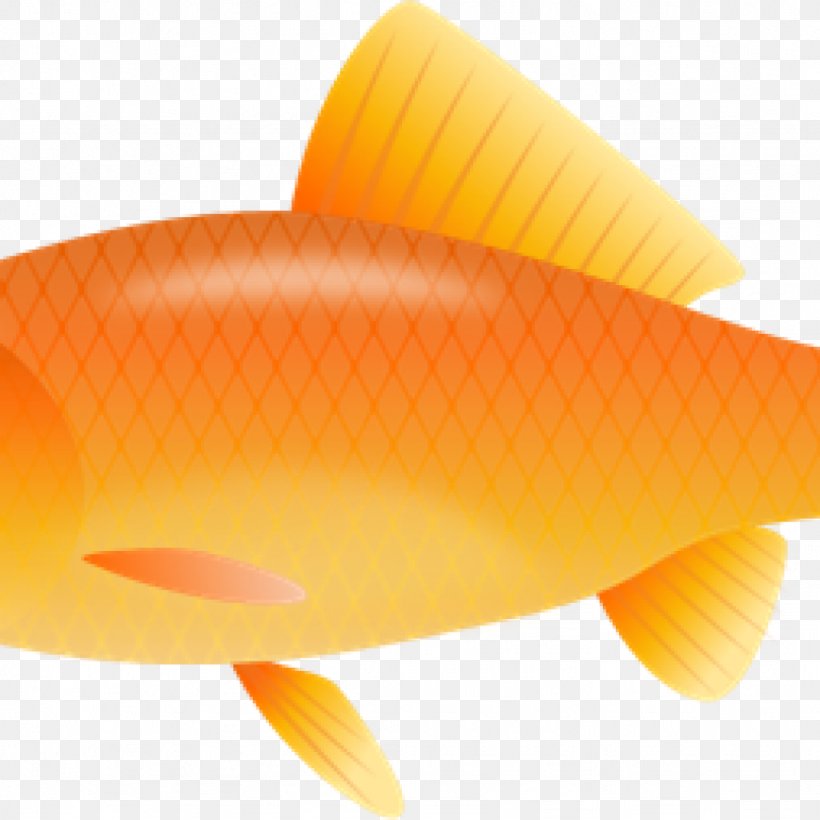 Goldfish Clip Art Bony Fishes Fish Fin, PNG, 1024x1024px, Goldfish, Bony Fish, Bony Fishes, Drawing, Elmo Download Free