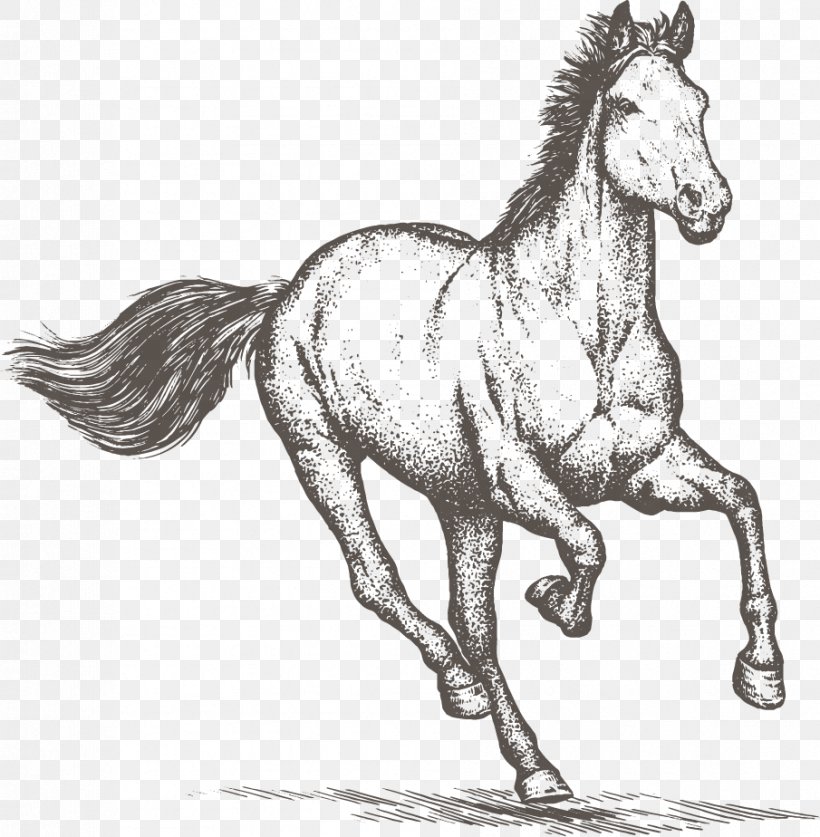Horse Equestrian Drawing Clip Art, PNG, 905x924px, Horse, Art, Black And White, Bridle, Colt Download Free