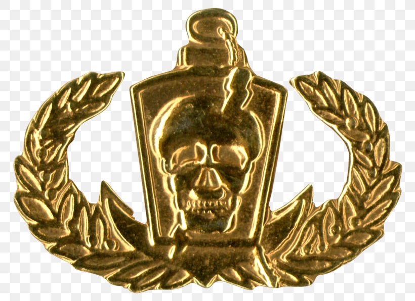 Brass Medal Bronze 01504 Gold, PNG, 800x596px, Brass, Badge, Bronze, Gold, Medal Download Free