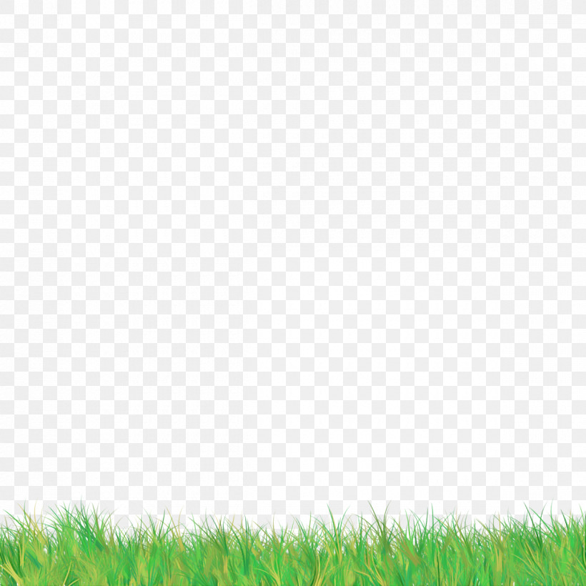 Green Grass Grassland Lawn Natural Environment, PNG, 1200x1200px, Green, Artificial Turf, Field, Flooring, Fodder Download Free