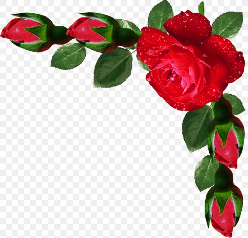 Jumu'ah Muslim Friday Ibadah Message, PNG, 1126x1080px, Muslim, Allah, Camellia, Cut Flowers, Flower Download Free