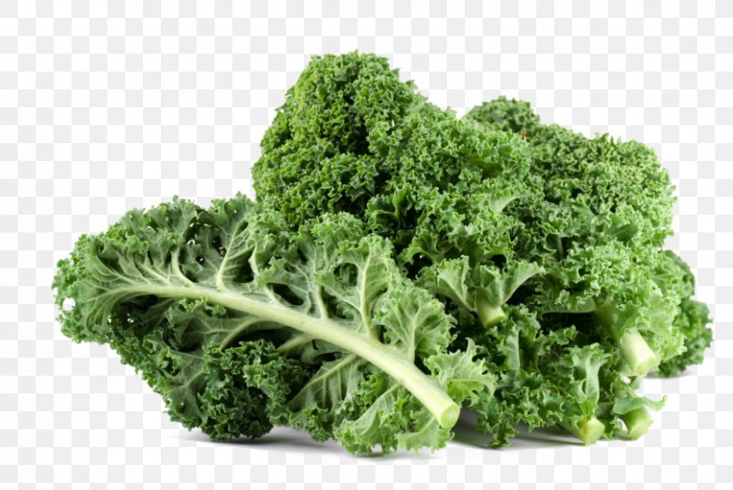 Kale Leaf Vegetable Nutrition, PNG, 850x569px, Kale, Broccoli, Cabbage, Collard Greens, Cruciferous Vegetables Download Free