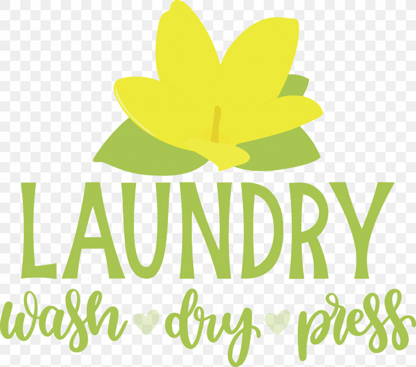 Laundry Wash Dry, PNG, 3000x2649px, Laundry, Biology, Dry, Flower, Fruit Download Free