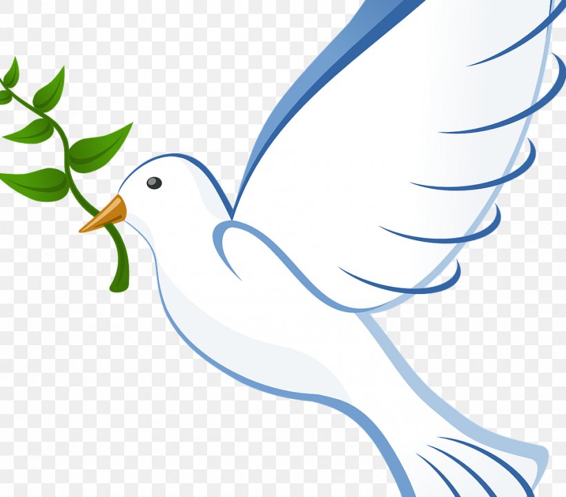 Pigeons And Doves Clip Art Doves As Symbols Free Content, PNG, 970x852px, Pigeons And Doves, Area, Art, Artwork, Beak Download Free