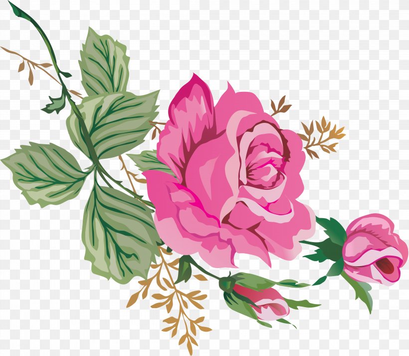 Centifolia Roses Garden Roses Rosaceae, PNG, 4392x3822px, Centifolia Roses, Art, Cut Flowers, Flora, Floral Design Download Free