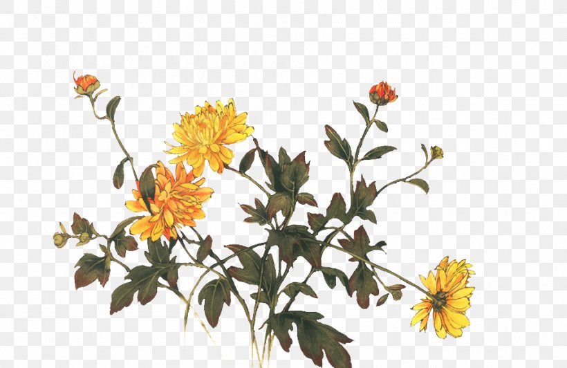 Chrysanthemum Indicum Chrysanthemum Tea Floral Design Flower, PNG, 950x617px, Chrysanthemum Indicum, Branch, Chrysanthemum, Chrysanthemum Tea, Chrysanths Download Free