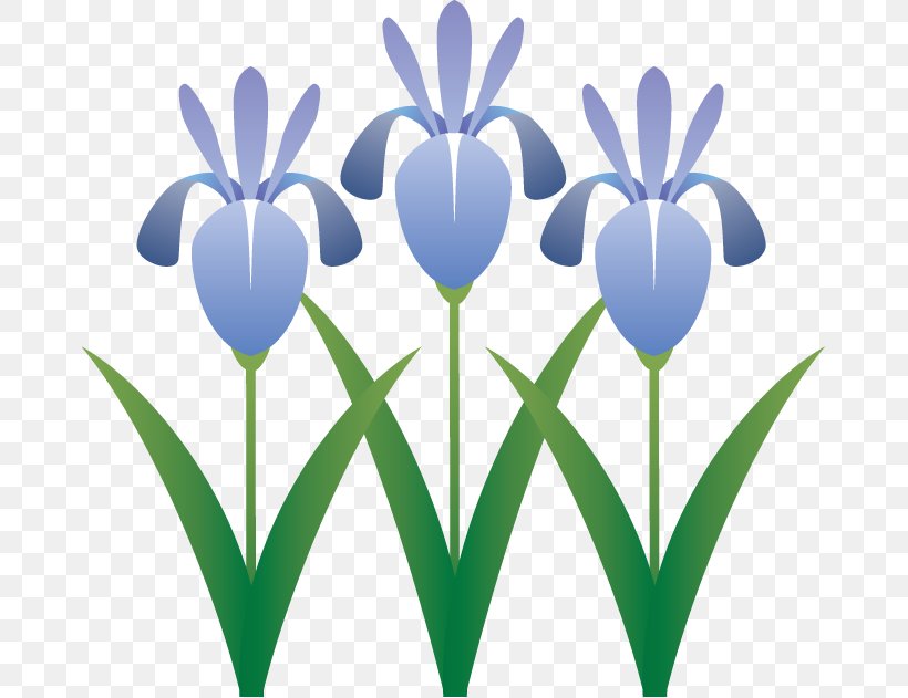 Clip Art Illustration Japanese Iris Royalty-free Flower, PNG, 672x631px, Japanese Iris, Computer, Flower, Flowering Plant, Grass Download Free