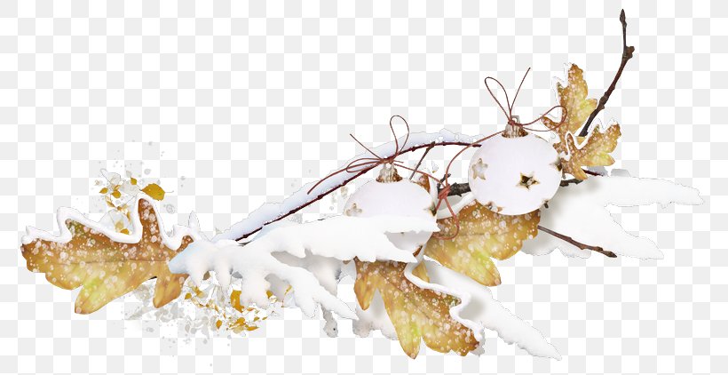 Image Twig Christmas Day Animation, PNG, 800x422px, Twig, Advertising, Animation, Blog, Branch Download Free