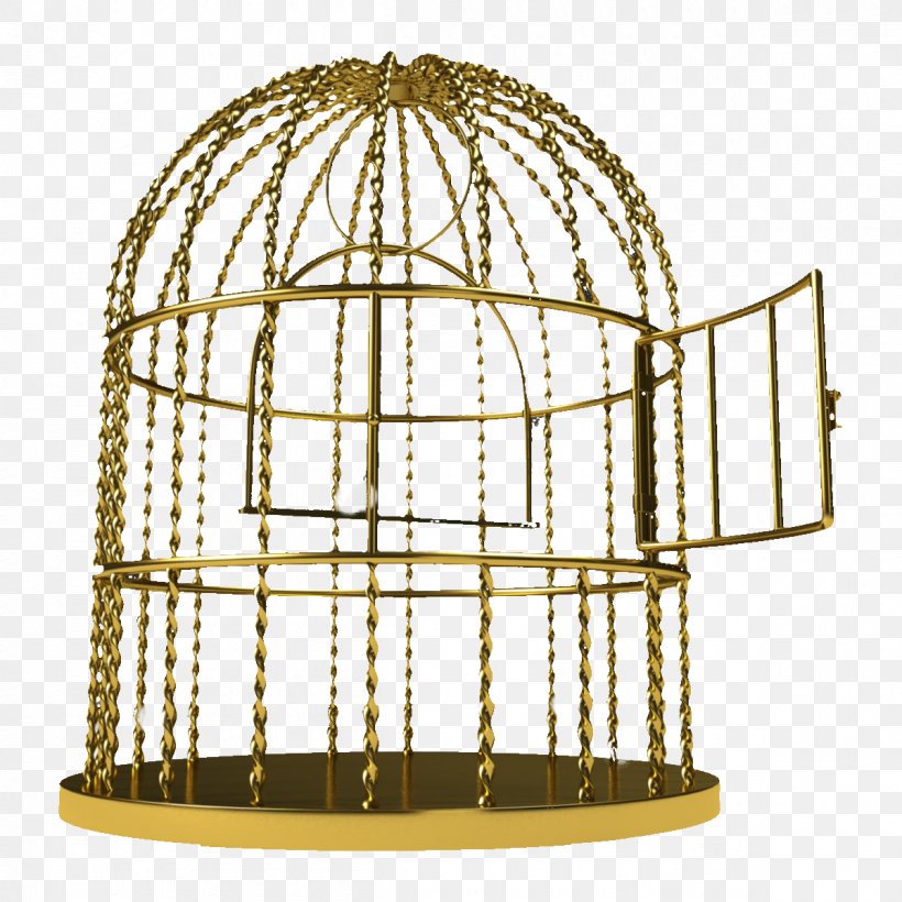Birdcage Birdcage, PNG, 1200x1200px, Bird, Birdcage, Cage, Dome, Drawing Download Free
