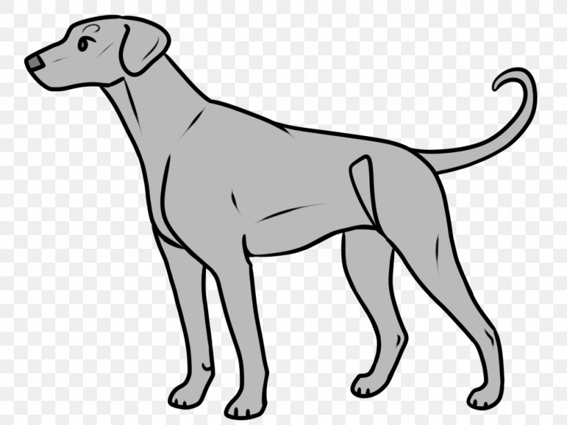 Dog White Line Art Sporting Group Snout, PNG, 1024x768px, Dog, Line Art, Snout, Sporting Group, White Download Free