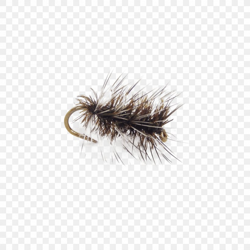 Fly Fishing Artificial Fly Hackles Pupa, PNG, 2181x2181px, Fly Fishing, Angling, Artificial Fly, Booby, Dry Flies And Emergers Download Free