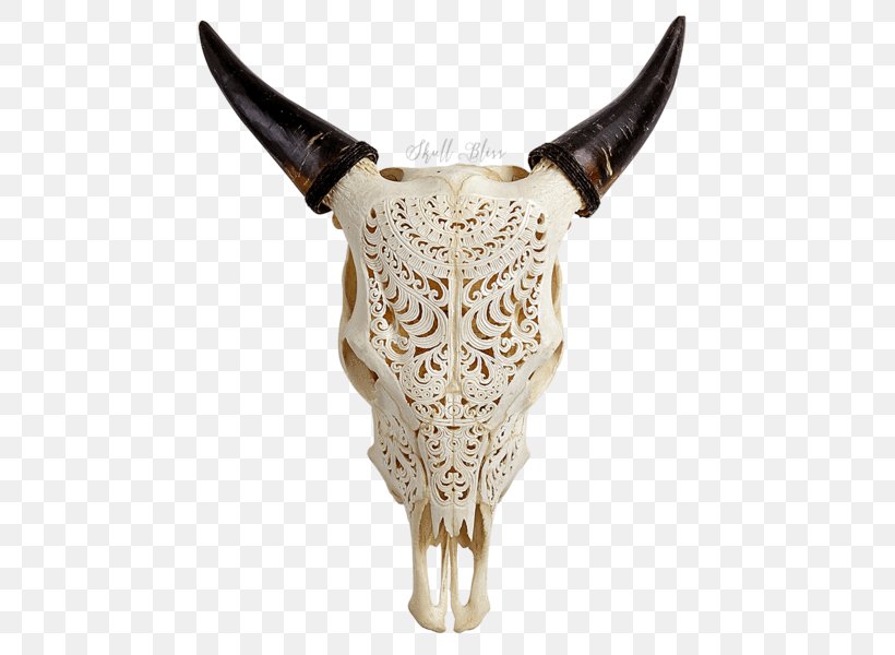 Texas Longhorn English Longhorn Skull Bull Ox, PNG, 600x600px, Texas Longhorn, Animal, Bone, Bull, Cattle Download Free