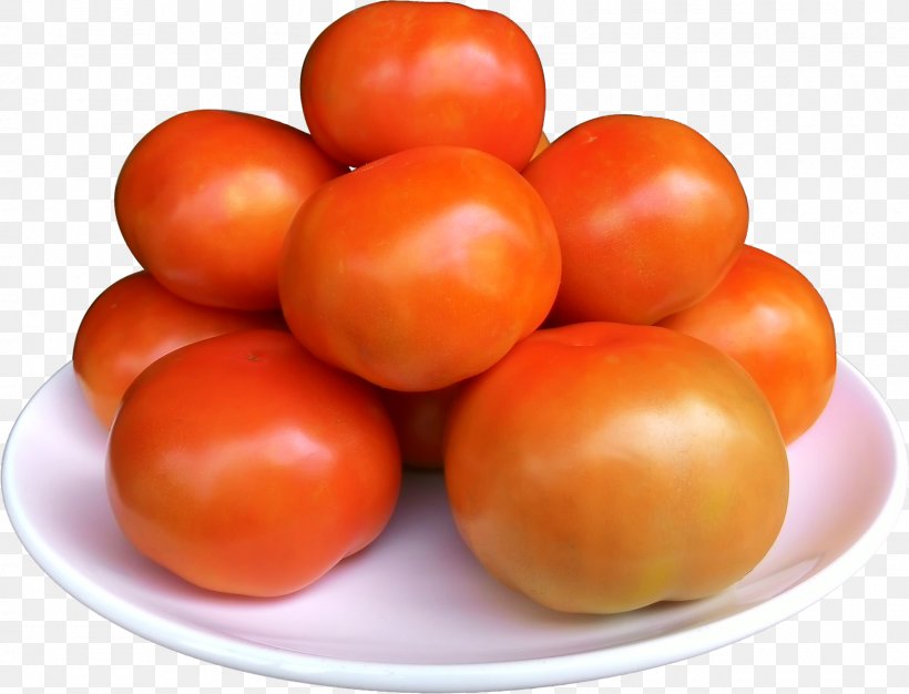 Bracelet Food Tomato Soup Jewellery Recipe, PNG, 1600x1223px, Bracelet, Bush Tomato, Cooking, Diet Food, Dish Download Free