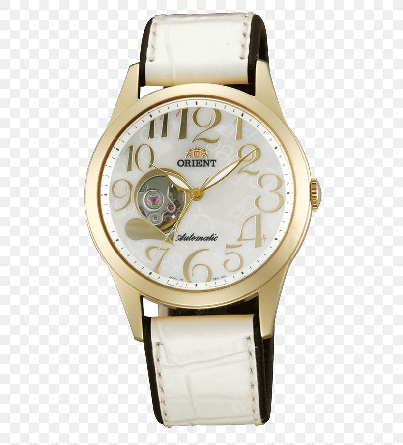 Orient Watch Automatic Watch Watch Strap, PNG, 633x904px, Watch, Automatic Watch, Brand, Clock, Fashion Download Free