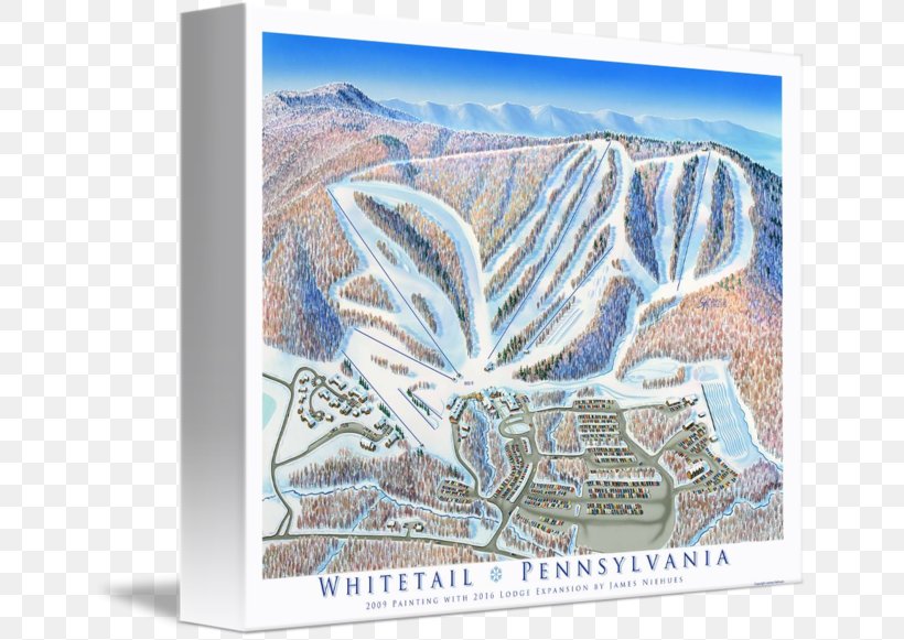 Whitetail Ski Resort Gallery Wrap Trail Map Picture Frames Canvas, PNG, 650x581px, Gallery Wrap, Art, Canvas, Fauna, James Niehues Download Free