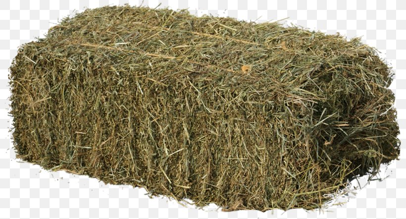 Only One Of Me Zero Gravity Hay Freestyle, PNG, 800x442px, Zero Gravity, Grass, Grass Family, Hay, Jamie Foxx Download Free