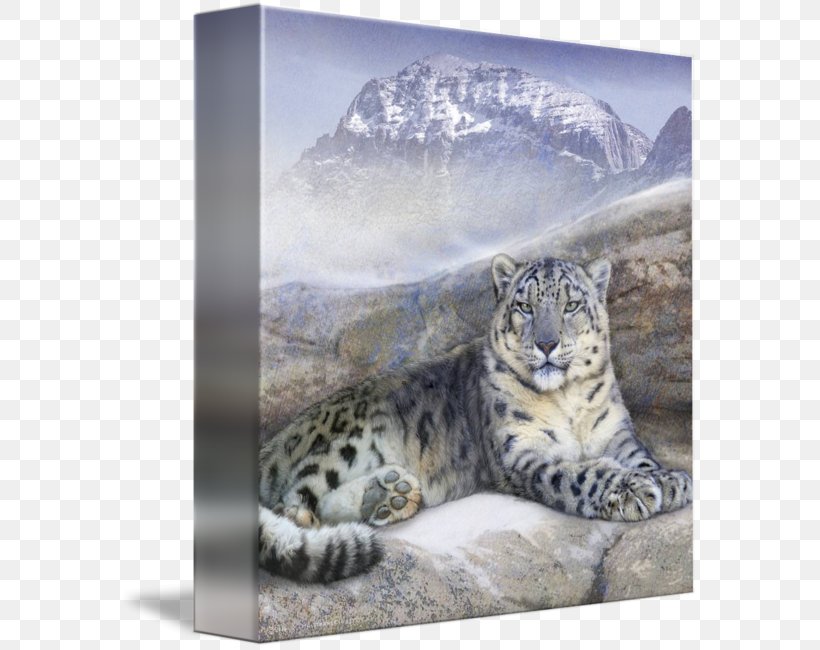 Snow Leopard Whiskers Gallery Wrap Canvas, PNG, 580x650px, Snow Leopard, Animal, Art, Big Cats, Canvas Download Free