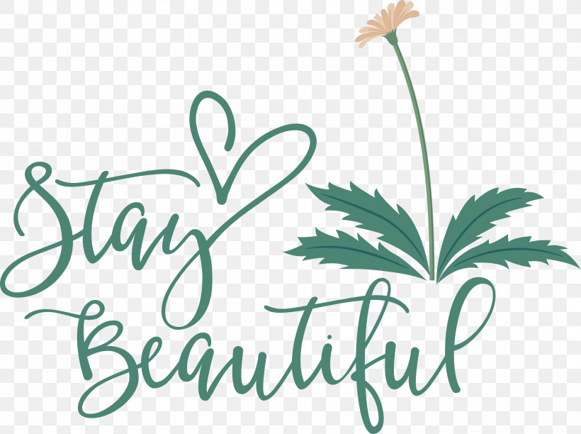 Stay Beautiful Fashion, PNG, 3000x2242px, Stay Beautiful, Cricut, Fashion Download Free