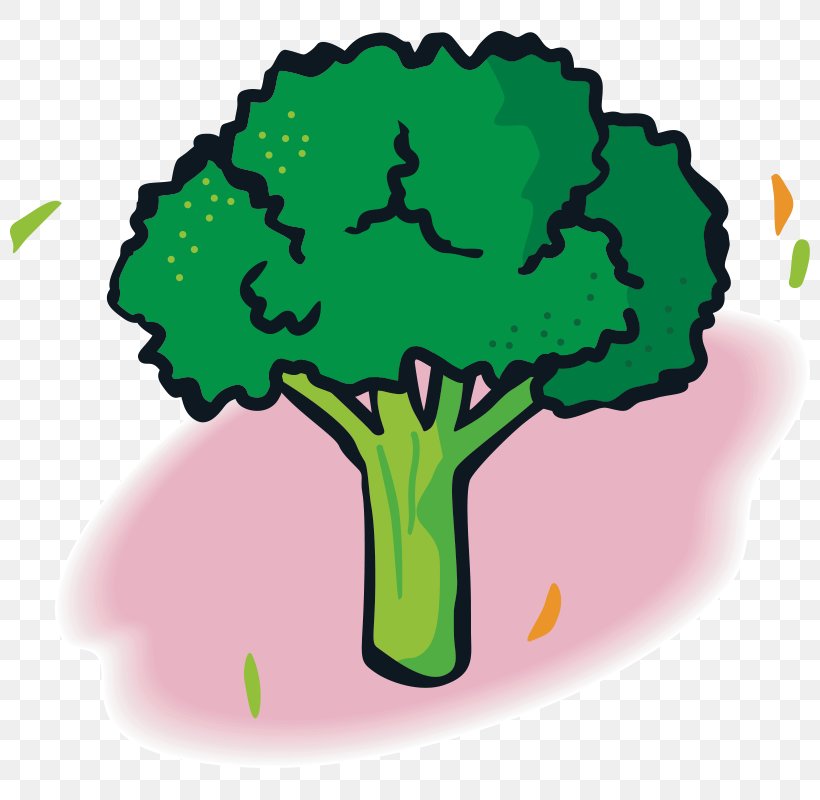 Vegetable Fruit Broccoli Food, PNG, 800x800px, Vegetable, Broccoli, Cabbage, Designer, Eating Download Free