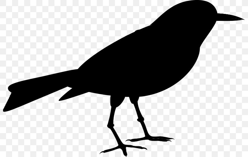 American Crow Clip Art Fauna Silhouette Common Raven, PNG, 800x519px, American Crow, Art, Beak, Bird, Blackbird Download Free