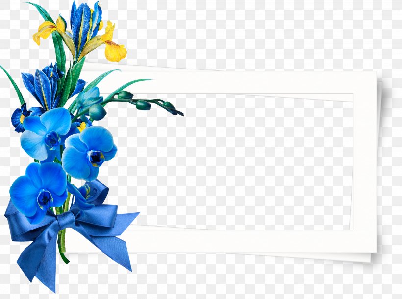 Flower .de Kiss, PNG, 2615x1951px, Flower, Blue, Cut Flowers, Flora, Floral Design Download Free