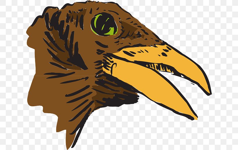 Bird Clip Art, PNG, 640x518px, Bird, Beak, Bird Of Prey, Blueandyellow Macaw, Carnivoran Download Free