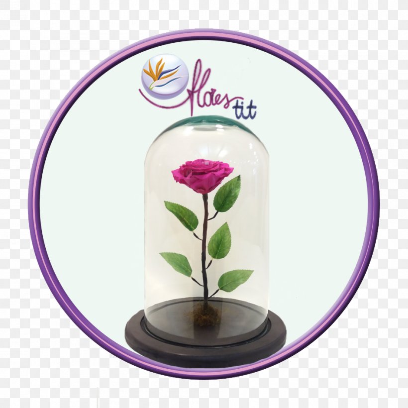 Flores Tit Floristry Rosa Blanca Flower Love, PNG, 945x945px, Floristry, Flower, Flowerpot, Gift, Love Download Free