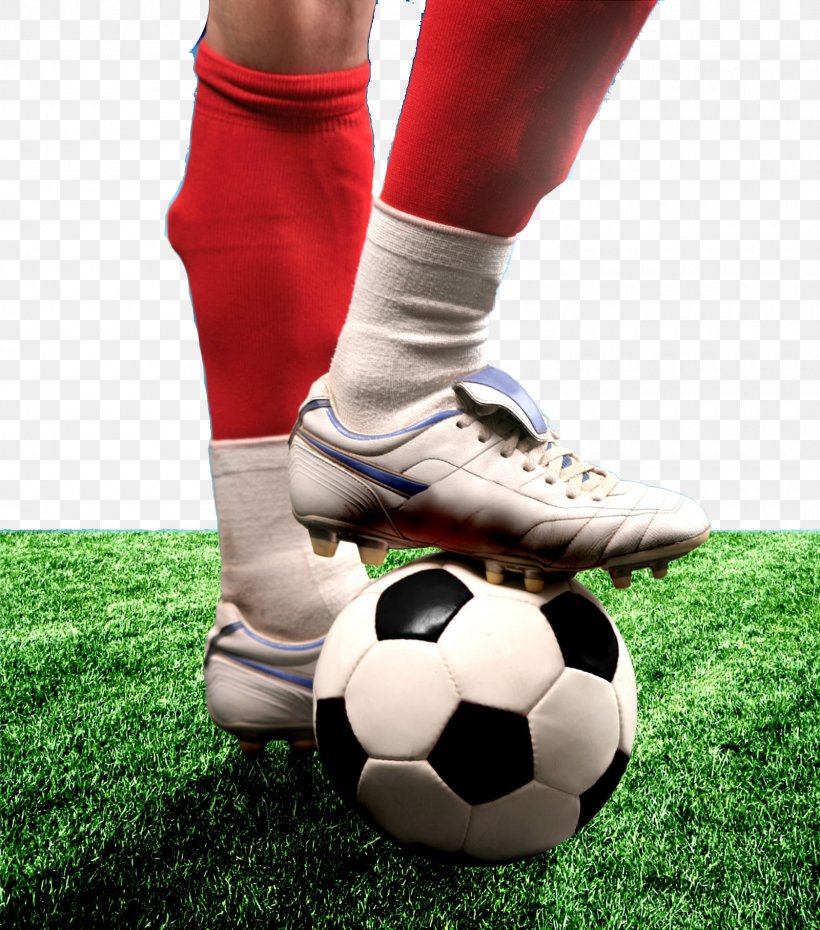 Football Pitch Football Player Sport Five-a-side Football, PNG, 1600x1816px, Football, Ball, Fantasy Football, Fiveaside Football, Football Pitch Download Free