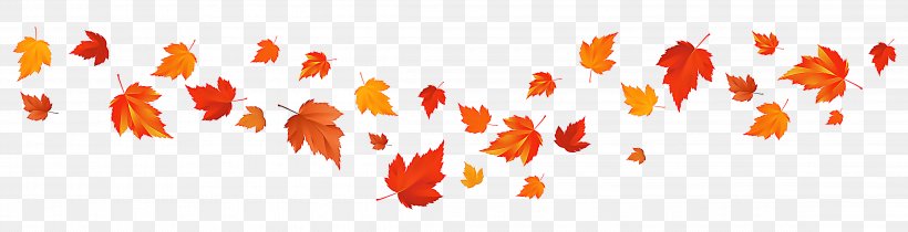 Maple Leaf, PNG, 4587x1177px, Leaf, Maple, Maple Leaf, Orange, Plant Download Free
