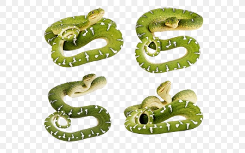 Smooth Green Snake Clip Art, PNG, 600x514px, Snake, Boas, Green Anaconda, Image File Formats, Organism Download Free